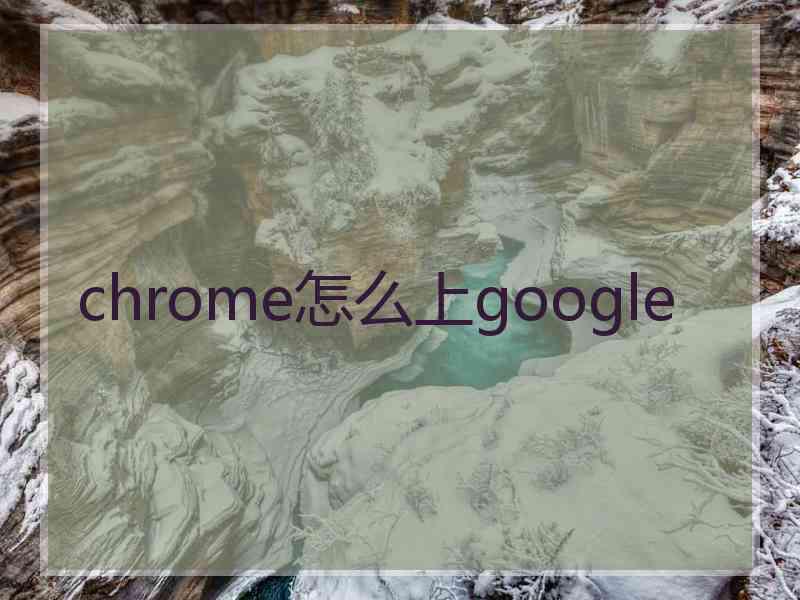 chrome怎么上google