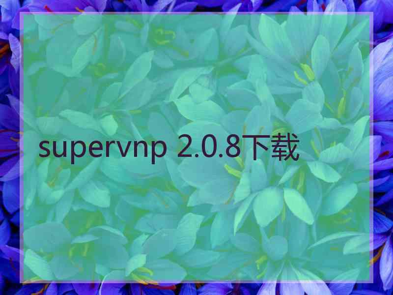 supervnp 2.0.8下载