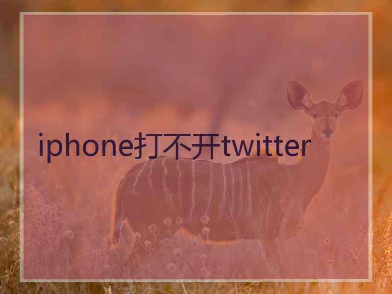 iphone打不开twitter