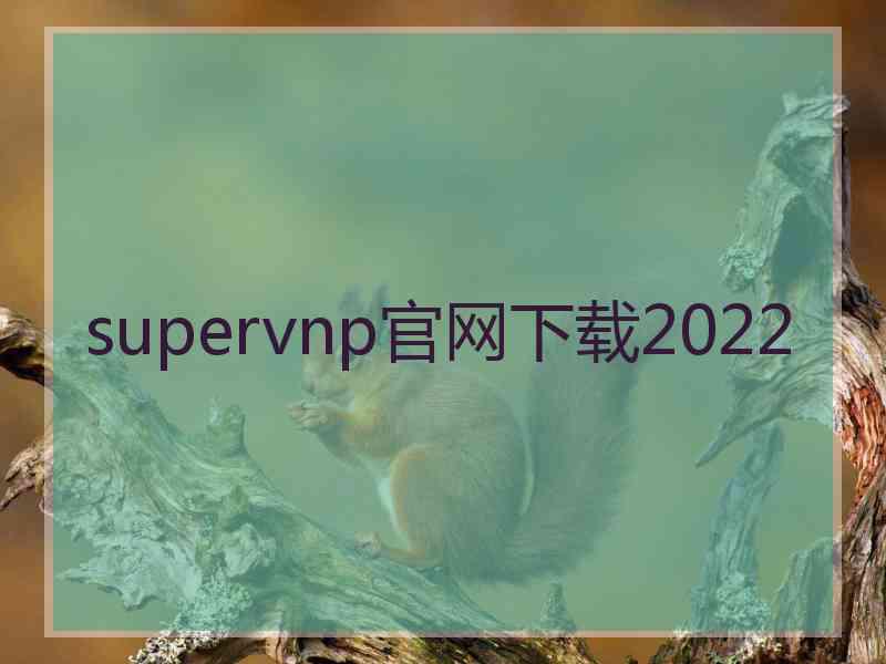supervnp官网下载2022
