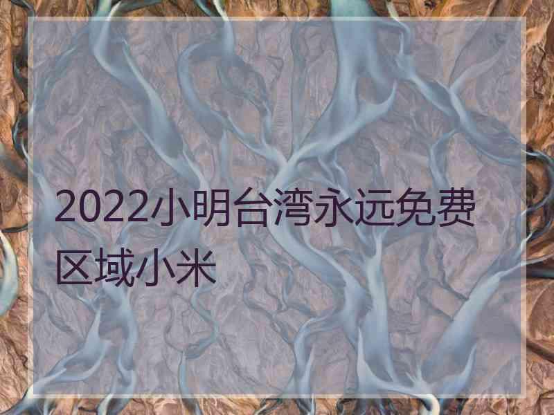 2022小明台湾永远免费区域小米