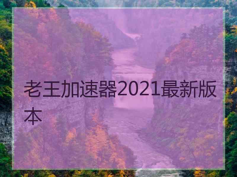 老王加速器2021最新版本
