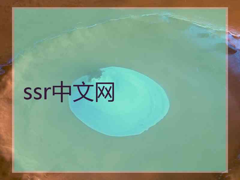 ssr中文网