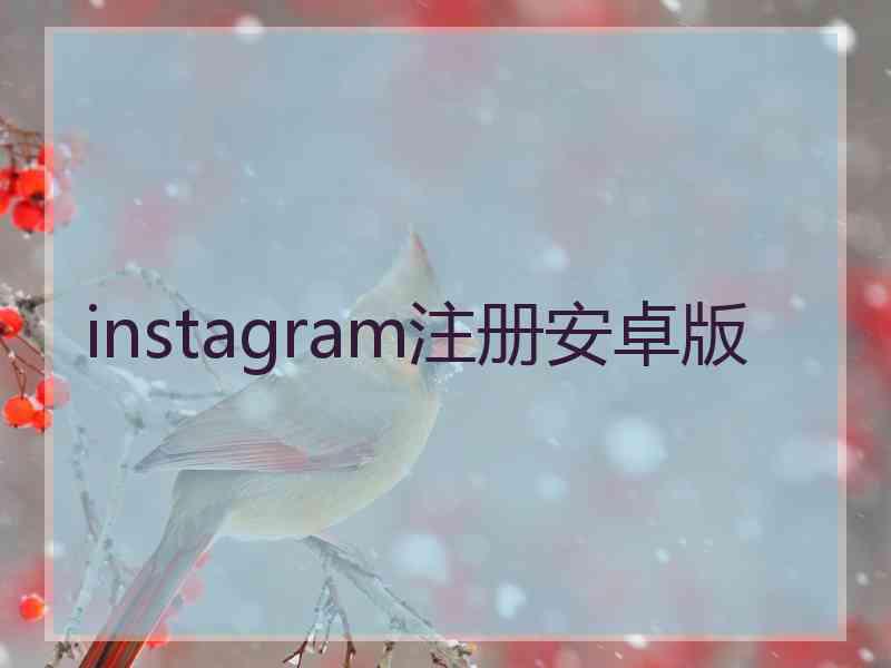 instagram注册安卓版
